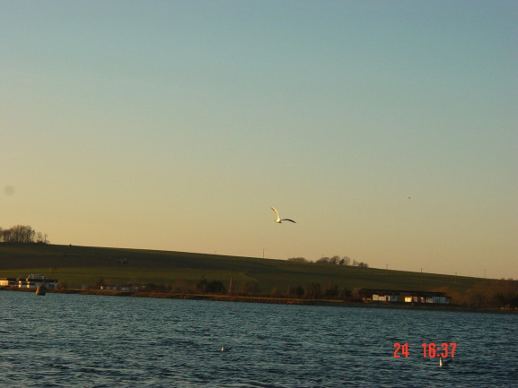 2008.02.24-16.37