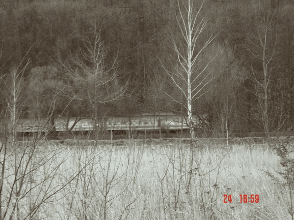 DSC08256