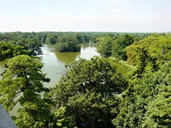 DSC00730